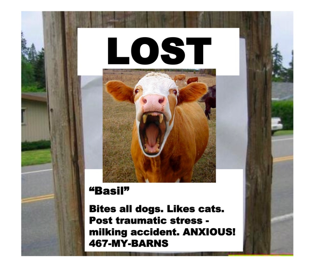 Lost funny animal. Home animals Clear.